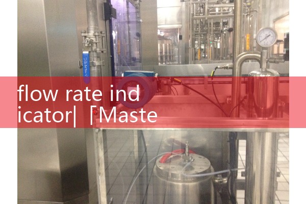 flow rate indicator|water flow meter